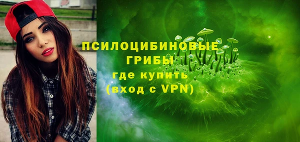 ALPHA PVP Артём