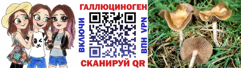 Галлюциногенные грибы прущие грибы  где можно купить   Заринск 